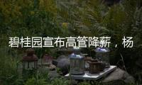 碧桂园宣布高管降薪，杨惠妍莫斌调整后年薪12万元