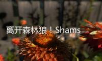 离开森林狼！Shams�：凯尔特人2年550万签下卢卡