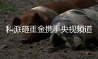 科派砸重金携手央视频道	，厨卫市场再掀波澜