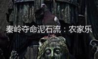 快排公司十年历程，霸屏兔 seo 的崛起与坚守