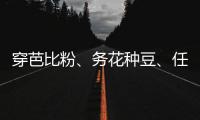 穿芭比粉、务花种豆�、任教哈佛……三位西方女领导人卸任生活秀丨智库视点
