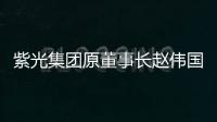 紫光集团原董事长赵伟国贪污	、为亲友非法牟利、背信损害上市公司利益案一审开庭