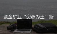 紫金矿业“资源为王”新路径：海底“淘金”浮出水面