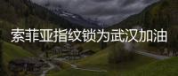 快排公司十年历程，霸屏兔 seo 的崛起与坚守