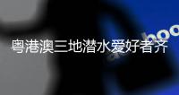 粤港澳三地潜水爱好者齐聚外伶仃岛
，共同修复海洋生态