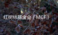 红树林基金会（MCF）温家怡：善因营销可有效促进公益品牌建设