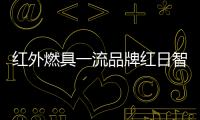 红外燃具一流品牌红日智能厨卫
，全国盛大招商
