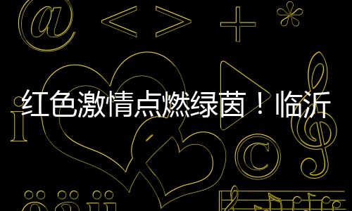 点燃为家乡荣耀打CALL