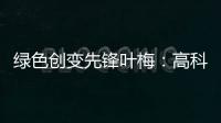 绿色创变先锋叶梅�：高科技时代，生态文学如何影响人心？