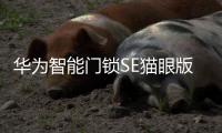 华为智能门锁SE猫眼版21日正式发售
，带你告别“忘带钥匙”焦虑