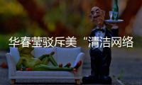 华春莹驳斥美“清洁网络”计划：要有怎样的“迷之自信”将“外交谎言”进行到底	？