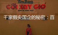 千家假央国企的秘密
：百万买身份，假央企变身集团公司
