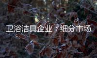 卫浴洁具企业
：细分市场 重新规划布局