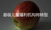 县级儿童福利机构将转型！未来工作重点在哪里？