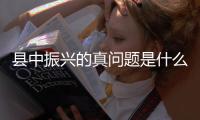 县中振兴的真问题是什么
？