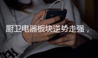 厨卫电器板块逆势走强，主力资金积极布局