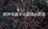 厨房电器十大品牌从资源、渠道、设计三方面谋发展