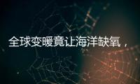 全球变暖竟让海洋缺氧，3亿年前气候状态警示危机