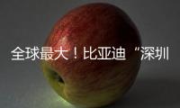 全球最大
！比亚迪“深圳号”交付启航