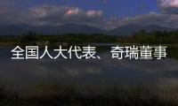 全国人大代表、奇瑞董事长尹同跃
�：恶性竞争的“价格战”伤人伤己