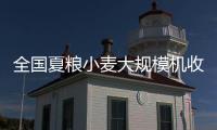 快排公司十年历程，霸屏兔 seo 的崛起与坚守