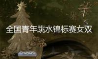 全国青年跳水锦标赛女双十米台：陕西组合崔家溪/王韵晗夺冠