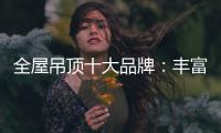 全屋吊顶十大品牌：丰富产品线 发挥自身优势