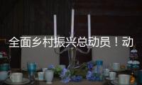 全面乡村振兴总动员！动画解读2021中央一号文件