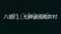 八部门
：七种途径助农村残疾人就业增收