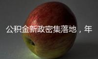 公积金新政密集落地，年内近20城支持房贷“商转公”
