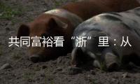 共同富裕看“浙”里：从脱贫到共富 “浙”里有一份秘笈待领取