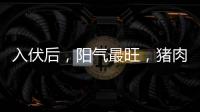 入伏后，阳气最旺，猪肉鱼肉靠边站，多吃8样�，清热又解暑