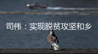 司伟：实现脱贫攻坚和乡村振兴有效衔接 亟需解决资产管理问题