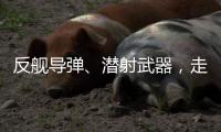 反舰导弹、潜射武器，走近航展里的“海防利器”丨2022航展