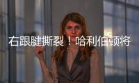 右跟腱撕裂
！哈利伯顿将缺席2025