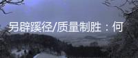 快排公司十年历程，霸屏兔 seo 的崛起与坚守