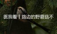 医我看丨路边的野蘑菇不要采
！花色难辨 毒藏其间