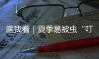 医我看｜夏季易被虫“叮”上？别慌，这样处理才对