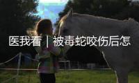 医我看｜被毒蛇咬伤后怎么办�？这份急救指南请收好