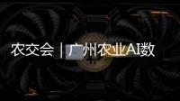农交会｜广州农业AI数字人矩阵小科普：如何选购优质广东丝苗米
？