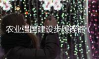 农业强国建设步履铿锵（奋勇争先，决战决胜“十四五”）