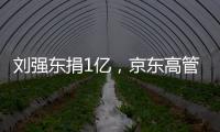 刘强东捐1亿，京东高管明年降薪，投入数百亿为快递小哥购房