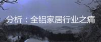 分析：全铝家居行业之痛