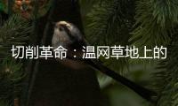 切削革命：温网草地上的隐秘武器