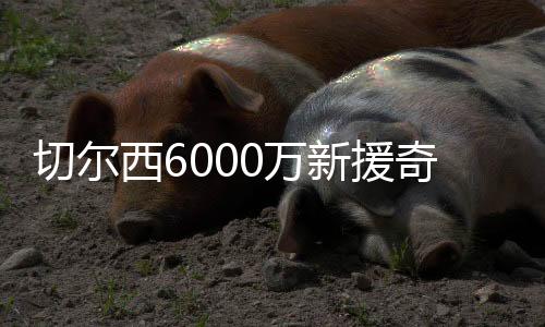不起将比分锁定为3-0