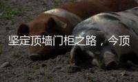 坚定顶墙门柜之路，今顶2021年核心代理商年中线上交流会圆满结束