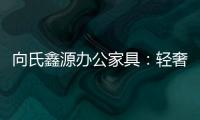 向氏鑫源办公家具�：轻奢高级�，演绎城市办公新美学