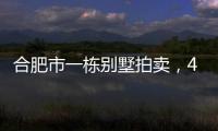 合肥市一栋别墅拍卖
，4人报名竞拍却以起拍价282万就成交了
