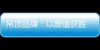 吊顶品牌：以颜值获胜 以品质为王