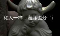 和人一样，海豚也分“i豚”和“e豚”吗
？
